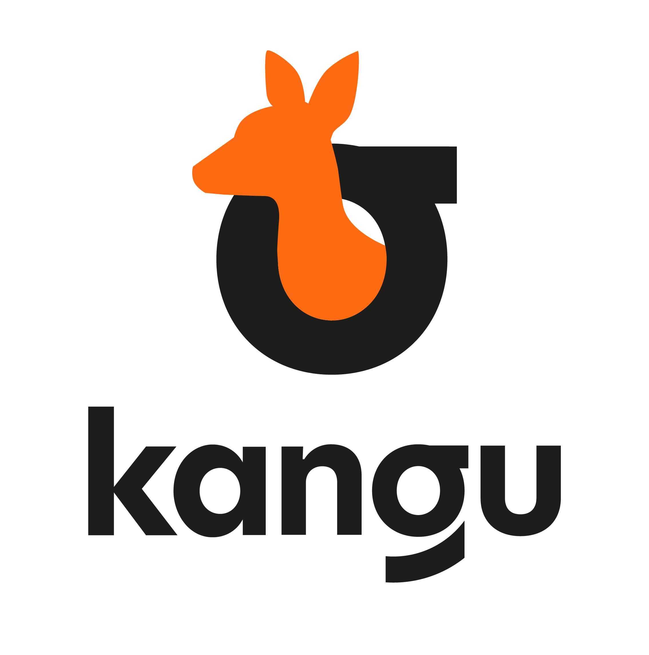 Como Funciona Kangu - Kangu